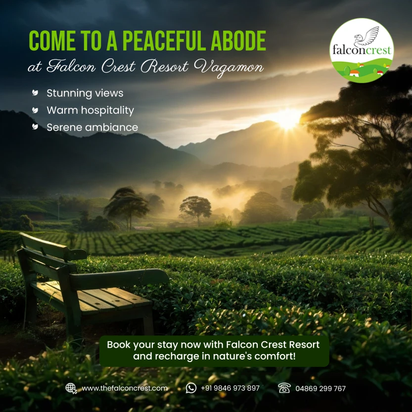 Falcon crest - Tourism (5)