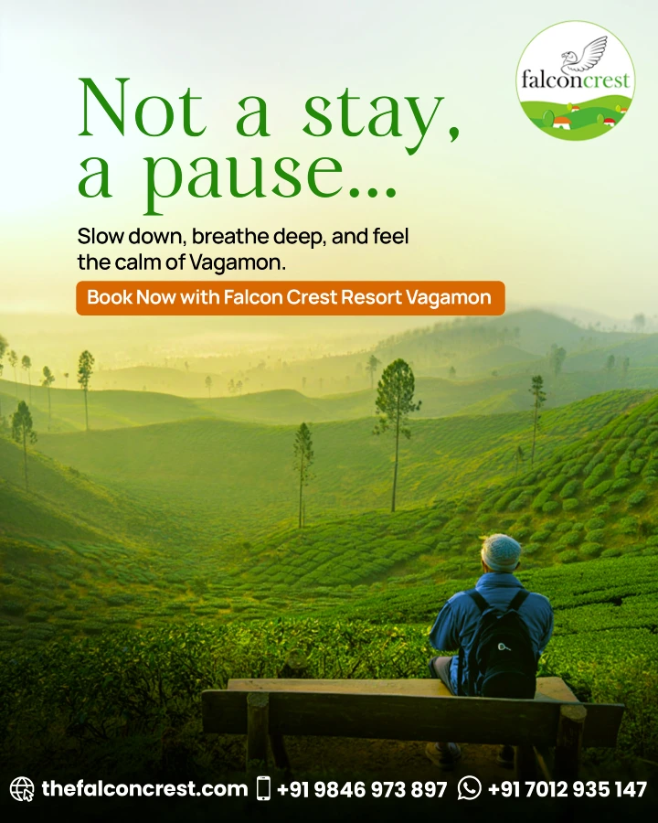 Not a Stay… A Pause