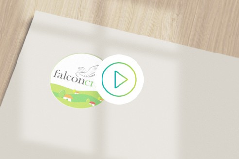 Falcon Crest | Social Media Reels